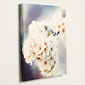 .75 inch Gallery Wrap