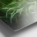 Clear Gloss metal